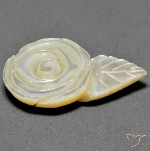 Madreperla bianco perla naturale da 18.79 ct, Taglio a fiore, Opaco