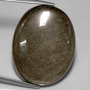 Ossidiana Patina dorata naturale da 30.57 ct, Taglio ovale, Opaco