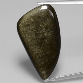 Ossidiana Nero lucido dorato naturale da 11.73 ct, Forma fantasia, Opaco