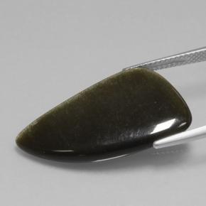 Ossidiana Nero lucido dorato naturale da 11.73 ct, Forma fantasia, Opaco