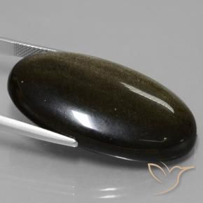 Ossidiana Nero con riflessi dorati naturale da 51.67 ct, Ovale, Opaco