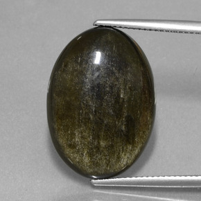 Ossidiana Lucentezza d'oro nero naturale da 14.10 ct, Taglio ovale, Opaco
