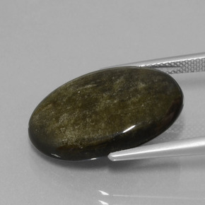 Ossidiana Lucentezza d'oro nero naturale da 14.10 ct, Taglio ovale, Opaco