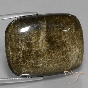 Ossidiana naturale dorato da 31,71 ct, taglio a cuscino, opaco
