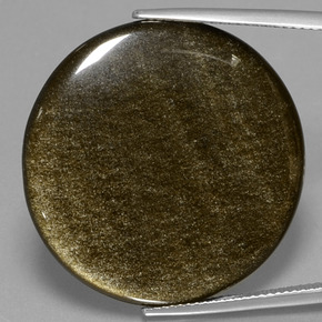 Ossidiana naturale oro da 28,16 ct, taglio rotondo, opaco