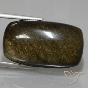 Ossidiana Marrone nero naturale da 32.35 ct, Cuscino, Opaco