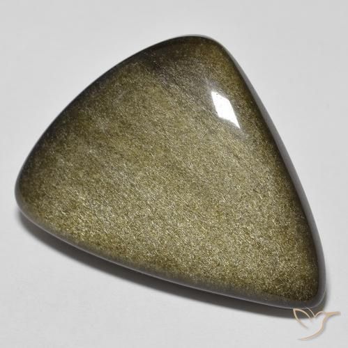 24.46ct Naturale Nero con riflessi dorati Ossidiana, Taglio a fantasia, Opaco