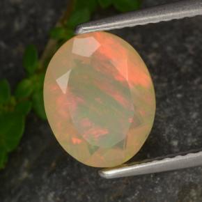 Opale naturale multicolore da 1,37 ct, taglio ovale, traslucido