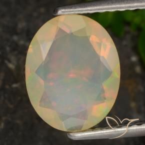 Opale Multicolore naturale da 1.27 ct, Ovale, Traslucido