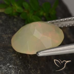 Opale Multicolore naturale da 1.54 ct, Ovale, Traslucido