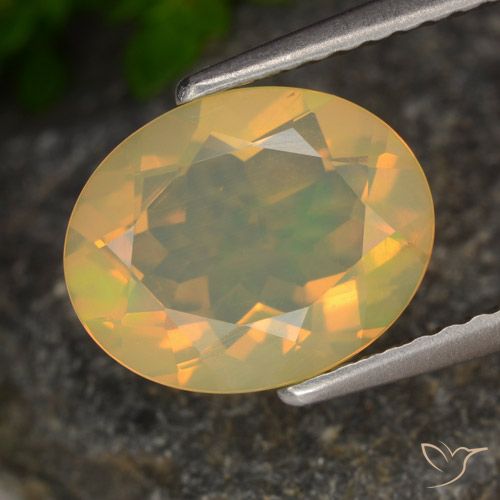 1.54ct Naturale Multicolore Opale, Ovale, Trasparente