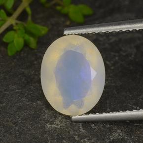 Opale naturale multicolore da 1,35 ct, taglio ovale, traslucido
