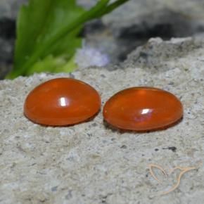 Gemme di Opale Arancio scuro rossastro naturale da 1.37 ct, Ovale, Trasparente