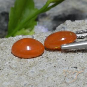 Gemme di Opale Arancio scuro rossastro naturale da 1.37 ct, Ovale, Trasparente