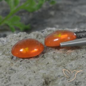Gemme di Opale Arancio scuro rossastro naturale da 1.41 ct, Ovale, Trasparente
