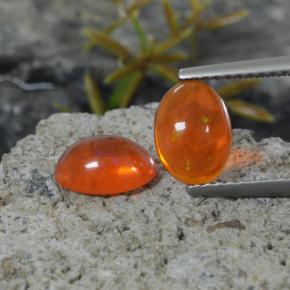 Gemme di Opale Arancione naturale da 1.35 ct, Taglio ovale, Trasparente