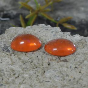 Gemme di Opale Arancione naturale da 1.35 ct, Taglio ovale, Trasparente