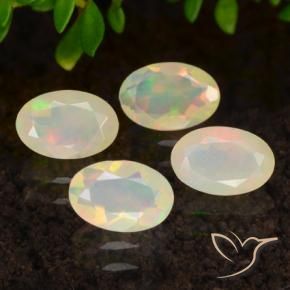 Gemme di Opale Multicolore naturale da 1.23 ct, Ovale, Trasparente