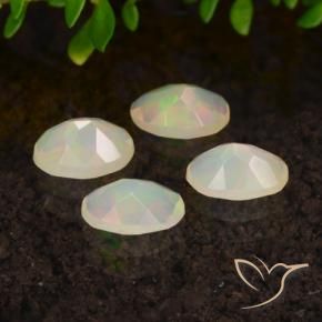 Gemme di Opale Multicolore naturale da 1.23 ct, Ovale, Trasparente
