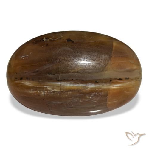 Opale naturale marrone da 26,12 ct, taglio ovale, opaco
