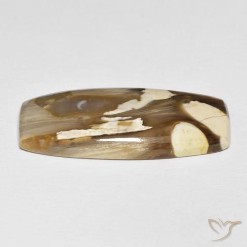 Toredo Multicolore naturale da 31.21 ct, Cuscino, Opaco