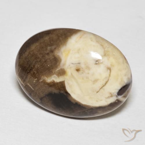 Toredo Multicolore naturale da 20.56 ct, Ovale, Opaco