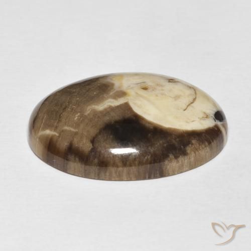 Toredo Multicolore naturale da 20.56 ct, Ovale, Opaco