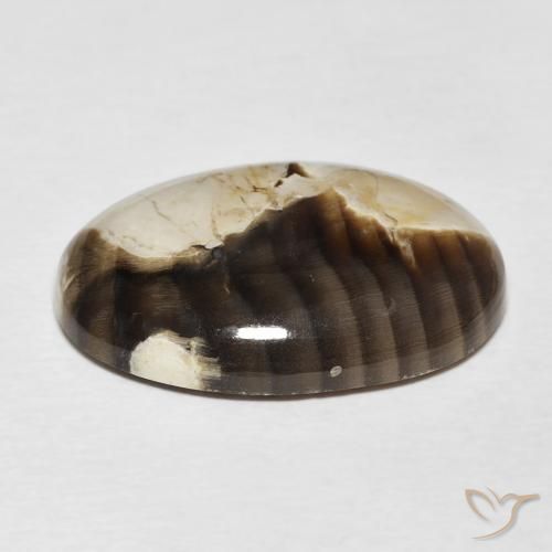Toredo Multicolore naturale da 15.62 ct, Ovale, Opaco