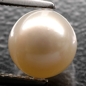 Perla naturale crema da 2,52 ct, sfera / palla, opaco