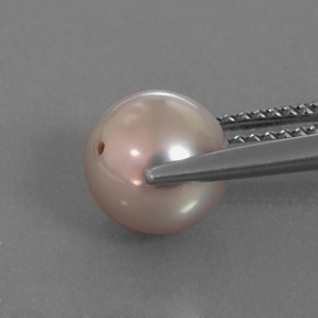 Perla naturale grigio da 3,53 ct, sfera / palla, opaco