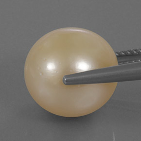 Perla naturale giallo da 14,95 ct, sfera / palla, opaco