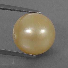 Perla Dorato naturale da 13.25 ct, Sfera, Opaco