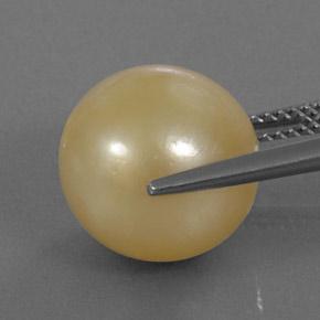 Perla Dorato naturale da 13.25 ct, Sfera, Opaco