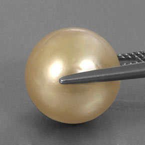 Perla naturale giallo da 14,91 ct, sfera / palla, opaco