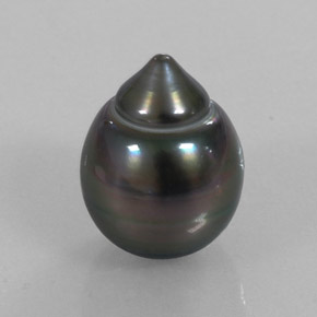 Perla naturale grigio da 13,07 ct, forma fantasia, opaco