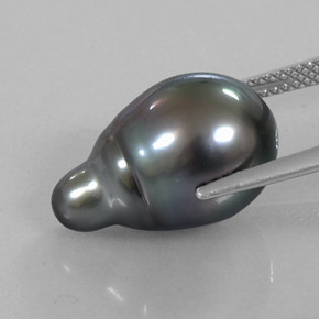 Perla naturale grigio da 13,21 ct, forma fantasia, opaco