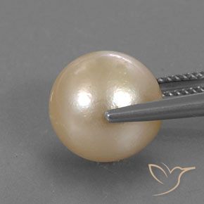 Perla Dorato chiaro naturale da 12.24 ct, Sfera, Opaco