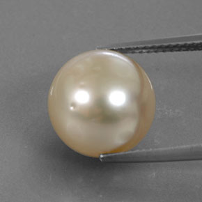 Perla Dorato chiaro naturale da 11.57 ct, Sfera, Opaco