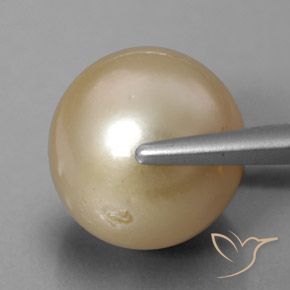 Perla Dorato naturale da 13.01 ct, Sfera, Opaco