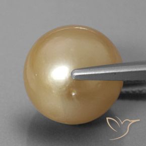 Perla naturale dorato da 12,60 ct, sfera / palla, opaco