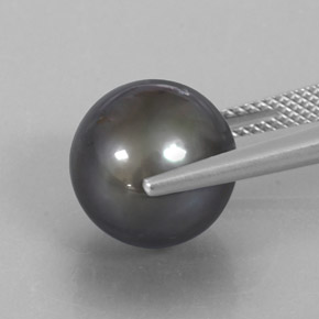 Perla naturale grigio da 12,75 ct, sfera / palla, opaco