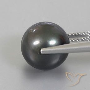 Perla Grigio scuro naturale da 13.49 ct, Sfera, Opaco