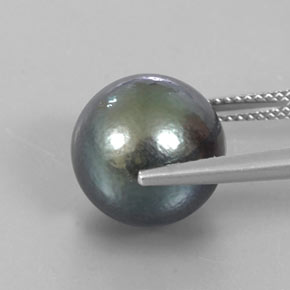 Perla naturale grigio da 13,23 ct, sfera / palla, opaco