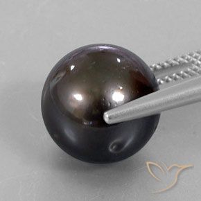 Perla Marrone naturale da 13.30 ct, Sfera, Opaco