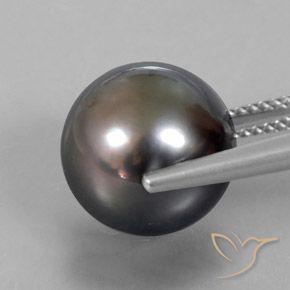 Perla Marrone naturale da 12.76 ct, Sfera, Opaco