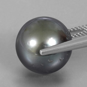 Perla naturale grigio da 16,38 ct, sfera / palla, opaco