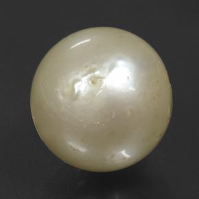 Perla Dorato chiaro naturale da 11.08 ct, Sfera, Opaco