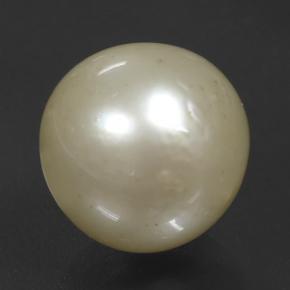 Perla Dorato chiaro naturale da 11.08 ct, Sfera, Opaco