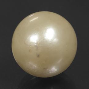 Perla Dorato chiaro naturale da 11.74 ct, Sfera, Opaco