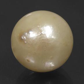 Perla Dorato chiaro naturale da 11.74 ct, Sfera, Opaco